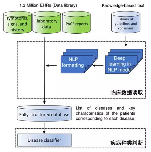 中國AI登上Nature子刊 讀懂病歷、推薦診斷，準確度超越人類醫生